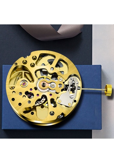 Xurunkeji Altın İskelet 2004 Hareketi Sıradan Sarkaç Ayarı Radyasyon Desenli Tam Otomatik Saat Hareketi Altın