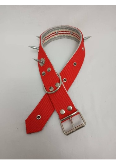 Kozaklı 10459 Çivili Süslü Köpek Tasması Turuncu 70 x 4 CM Turuncu