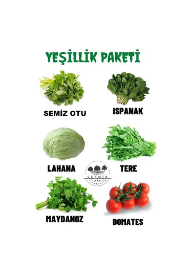 Tohum Paketi Semizotu , Ispanak, Beyaz Lahana , Tere , Maydanoz ,