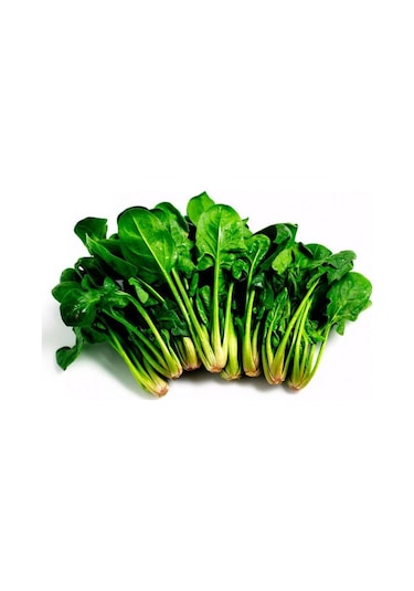 Ispanak Tohumu 25 Gr