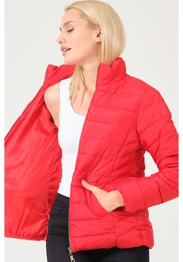 Dewberry Bayan Mont Z6746