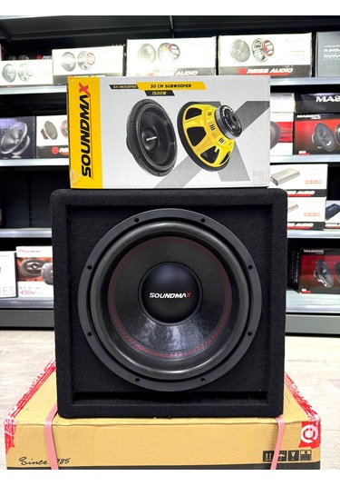 Sx-aks12 Pro Mini L Port Kabinli Profesyonel Pro Seri 1500wat 400w Rms 30 Cm Subwoofer Bas