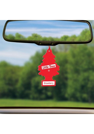 Little Trees Strawberry Çilek Aromalı Oto Kokusu 6 Adet