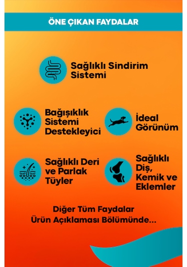 Kuzu Ve Pirinçli Yetişkin Köpek Maması Maintenance 3kg