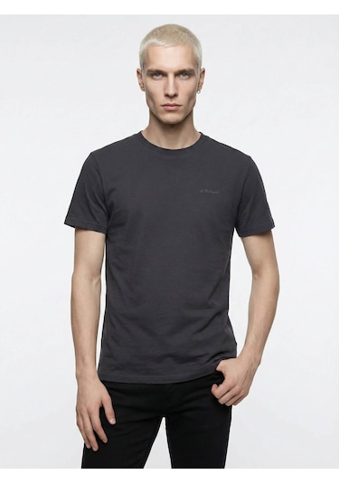 Loft Regular Fit Antrasit Erkek T-shirt Lf2042953