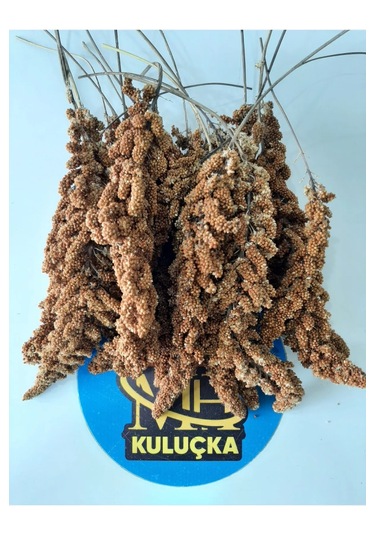 Dal Darı Kuş Yemi 1 Kg