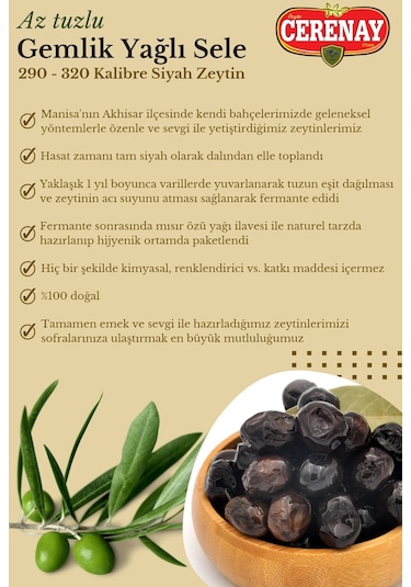 Az Tuzlu Gemlik Yağlı Sele Sofralık Siyah Zeytin 291-320 Kalibre 2 KG
