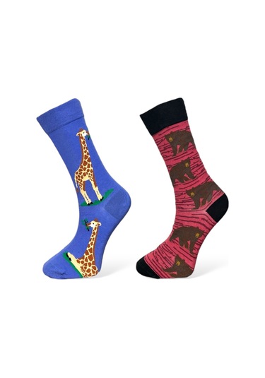 2'li Unısex Hayvan Tasarımlı Esnek Nem Alabilen Pamuklu Spor Soket Çoraplar Çok Renkli