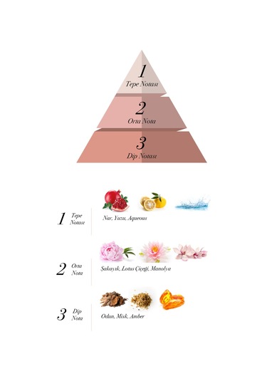 Prova Big Crystal Kadın Parfüm EDP 120 ML