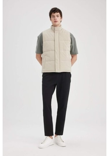 Defacto Slim Fit Dar Kesim Polo Yaka Yelek Astarlı Fermuarlı Çıtçıt Kapamalı Cepli Mevsimlik Hafif B6862ax24spbg712 Bej