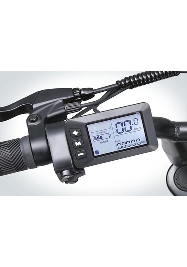 Ape Ryder Colobus Elektrikli Bisiklet Gri