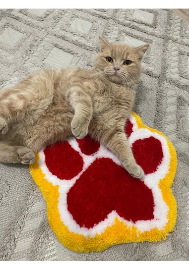 Kirbi Kedi Patisi Süs Halı Çok Renkli