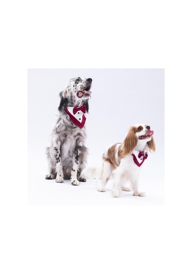 Pawstar Bordo Smokin Kedi Köpek Fuları Pet Bandanası