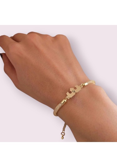 Archin G Harfine Özel Taç Motifli 14 Ayar Altın Plakalı Hasır Kordonlu Hediye Bileklik-461harf G