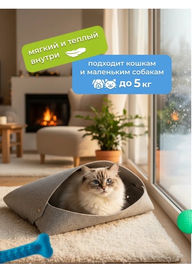 Eva Pets Yatağı Olan Kedi Ve Köpek İçin Ev 188538064