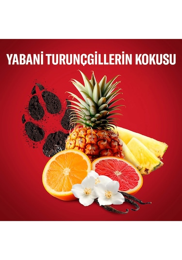 Old Spice Wolfthorn 48H Parfümlü Erkek Stick Deodorant 50 ML