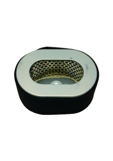 Hava Filitresi Palmera Pa100de