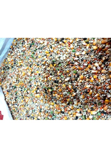 Akderepet Buğdaysız Karışık Yem 1 KG