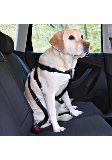 Trixie Köpek Emniyet Kemeri M 50 - 70 cm
