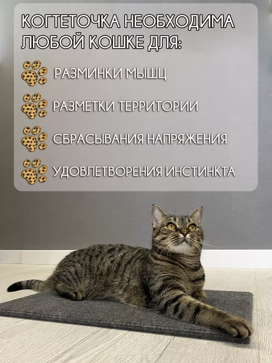 Mighty Cats Kedi Tırmalama Tahtası Yer Yatağı 223263715