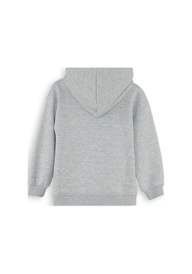 Denokids Dinozor Erkek Çocuk Fermuarlı Kapüşonlu Sweatshirt - Gri