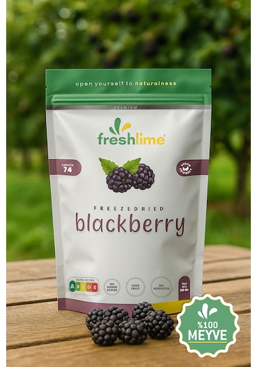 Freshlime Böğürtlen Kuru Meyve Cipsi Dondurularak Kurutulmuş Freeze Dried 20 G