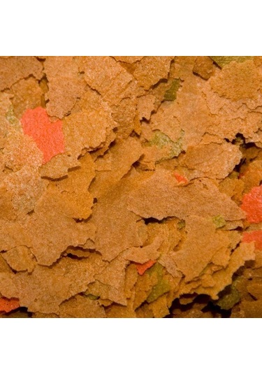 Osı Prostar Maintance Flake 50gr Açık