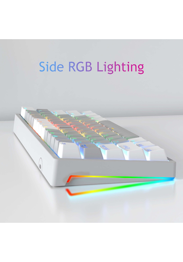Aula F3261 Type-C Kablolu Rgb Mekanik Klavye