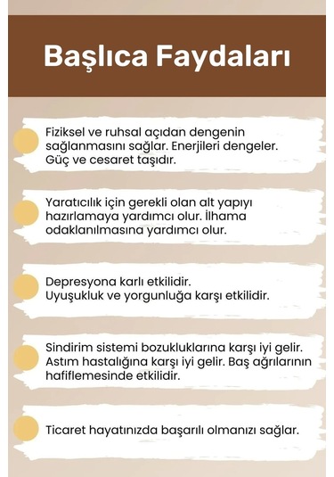 Enenstyle Fashıon Boutıqueunisex Akrep Burcu Enerjisini Yükselten Doğal Taş Bileklik Akrep Burçları Için Burç Taşı Bileklik Çok Renkli Çok Renkli