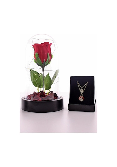 Fanusta Led Işıklı Kırmızı Gül Ve Uğur Böceği Kolye Seti Mika Fan (548382068)