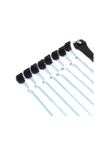 Pcı-e Sas Sff-8654 8i-8 Bağlantı Noktası Sata 90 Derece Sunucu Sabit Sürücü Adaptör Kablosu 0.8m, Siyah