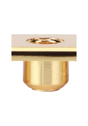 Hfambition Gitar Teli Geçiş Plakası, Çinko Alaşımlı, Paslanmaz, Elektro Gitar Kullanıma Uygun, Altın Rengi