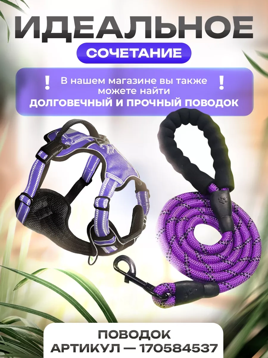 Petfort Orta Ve Büyük Irk Köpekler İçin Anatomik Koşu Kayışı 175517318 Violet