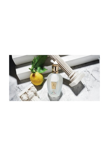 Naxos Edp 100ml Diğer