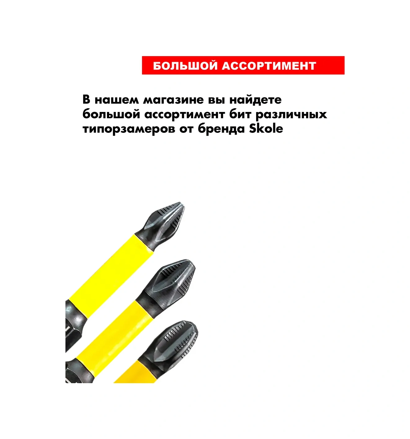 Skole Şarjlı Vidalama İçin Ph2 Manyetik Tork Torsiyonlu Uçlar 150 Mm 2'li Paket 316326411