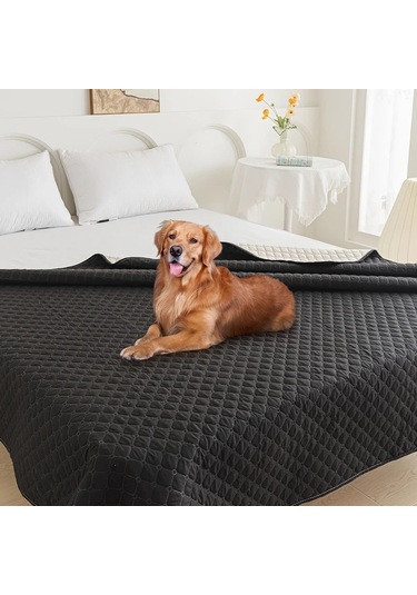 Honeybeeshop Yüksek Kaliteli Ve Kaymaz Evcil Hayvan Battaniyesi Black 170x210cm 66 9x82 6in Koltuk Koruyucu