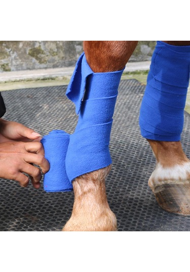 Suntek 4 Parça At Bacak Sarar Pony Legging Wrap At Atel Destek Mavi