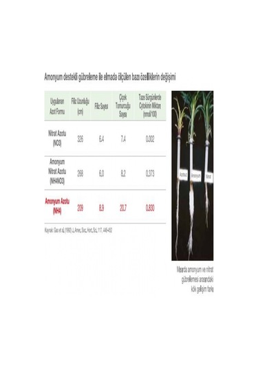 Entec 25 - 15 Yeşil Gübre 1 KG. Yavaş SalınıMLı Gübre. Akıllı Gü