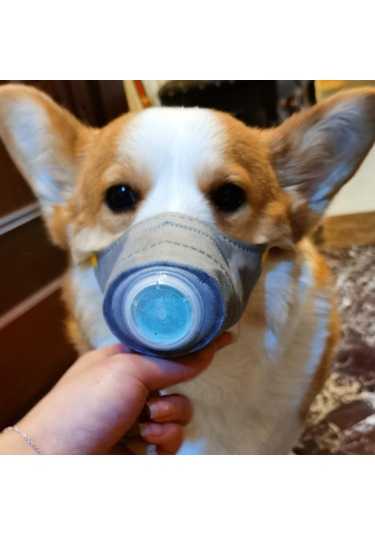 Homyl Ayarlanabilir Anti Sis Pet Köpek Ağız Maskesi Gri-l