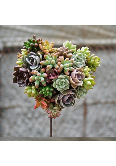 Pazly Tel Suntek Standı Metal Kalp Demir Çerçeve Asılı Aksesuar