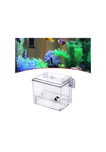 Suntek Balık Üreme Izolasyon Kutusu Akvaryum Için Kolay