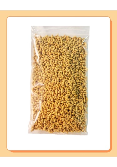 Pond Stick Naturel Japon Balığı Yemi 100gr