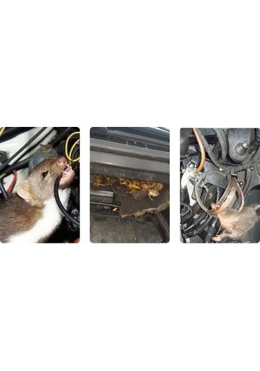 Tongxida 12 V Ultrasonik Uzaktan Kıyafet Avcısı, Beyaz Renk, Standart Boy, Ev Hanemleri İçin