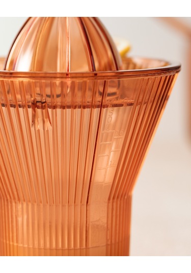 Madame Coco Henric Narenciye Sıkacağı