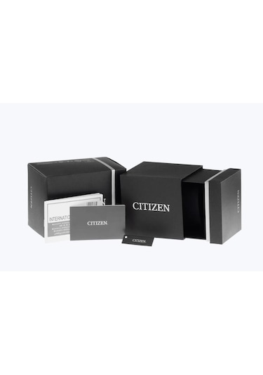Citizen Em0411-71a Eco-drive Kadın Kol Saati Metalik Gri