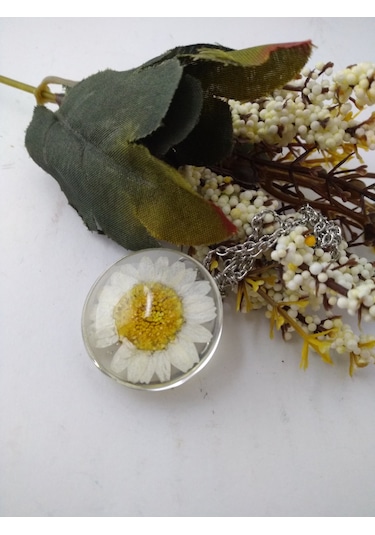 Yaşayan Canli Kolye/Kurutulmuş Çiçekler- Beyaz Papatya  Modeli Çok renkli