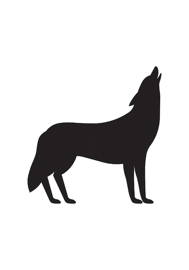 Folyo Sticker Kurt 30cm Uzunluk Siyah