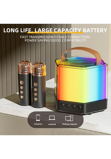 Skycıty Kablosuz Karaoke Ses Sistemi, İki Mikrofonlu