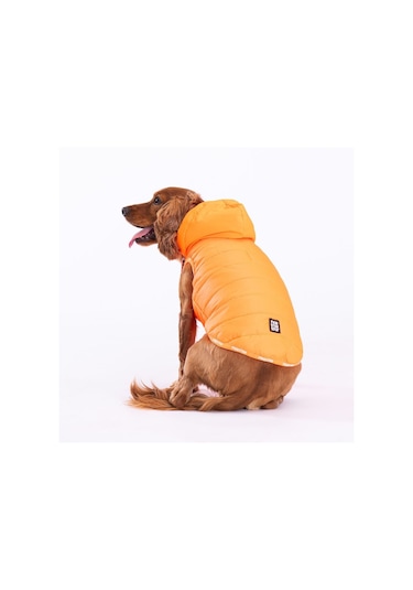 Pawstar Neon Turuncu Railway Küçük Irk Orta Irk Köpek Yeleği