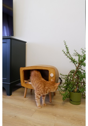 Huncar Kedi Evi Ahşap Retro Tv Dekoratif Kedi Evi İç Mekan Kediler İçin